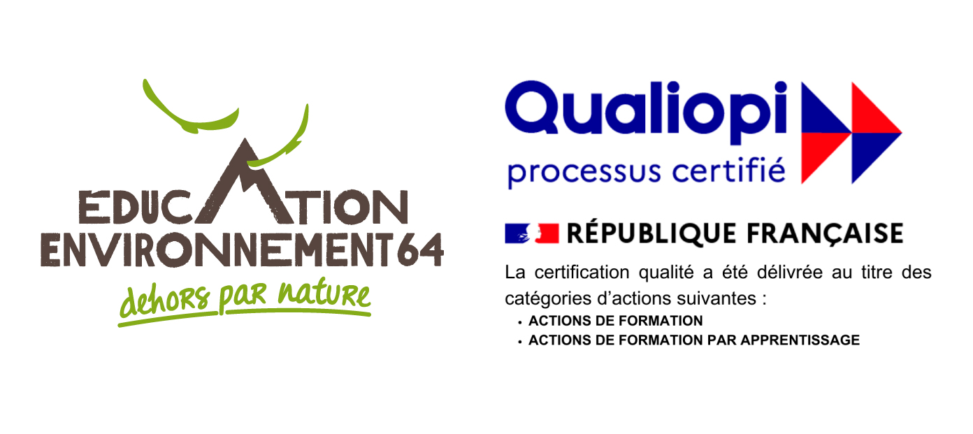 Logo qualiopi