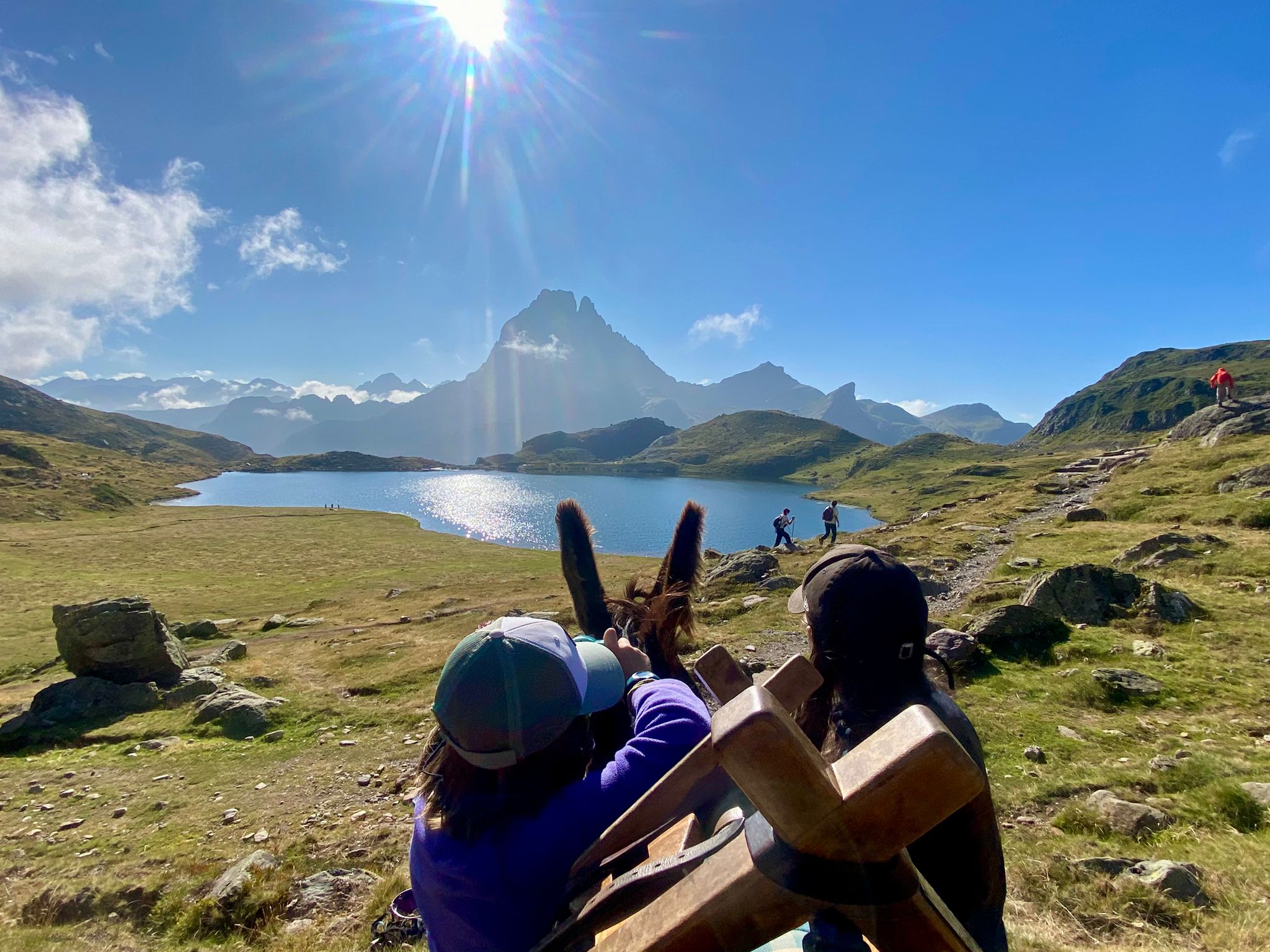 Ane bâté direction le pic du Midi d'Ossau